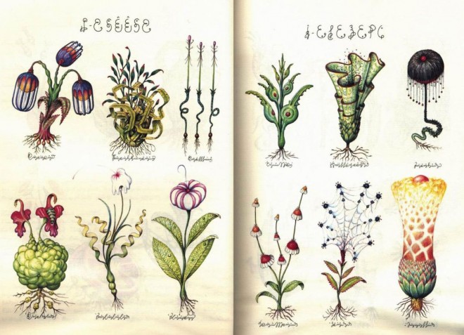 flowers codex seraphinianus