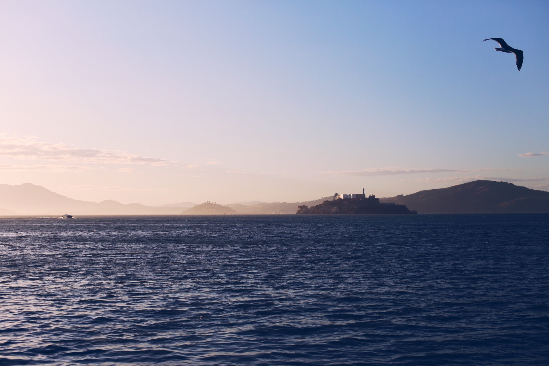 Alcatraz from pier