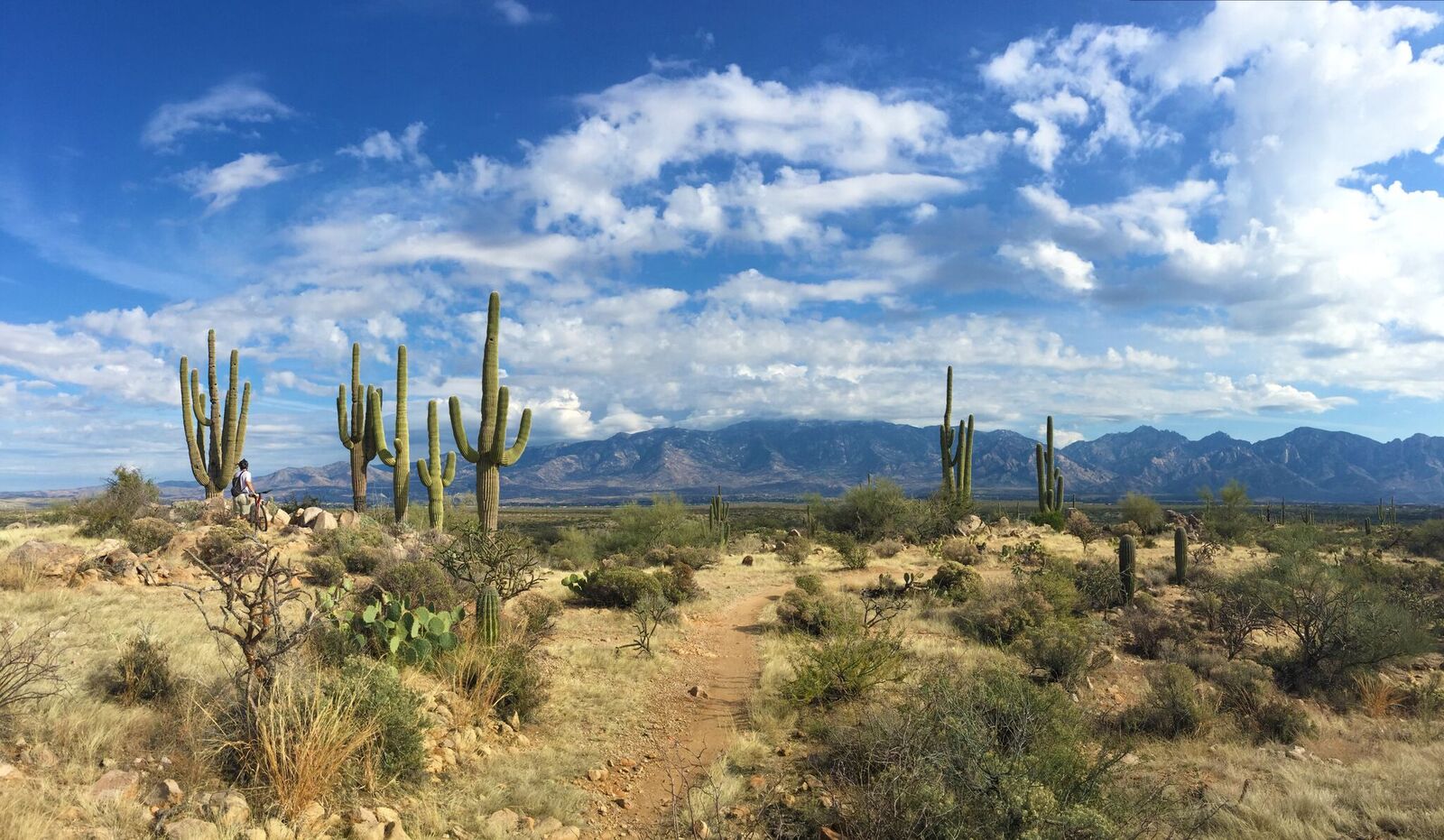 Tucson Hiking Trail