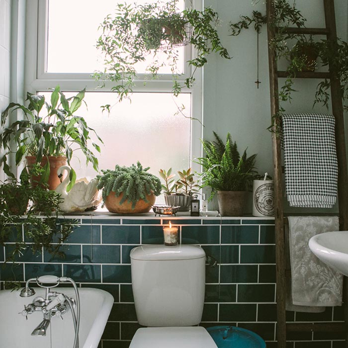Plants in Bathroom Anna Potter's Sheffield home Design Sponge