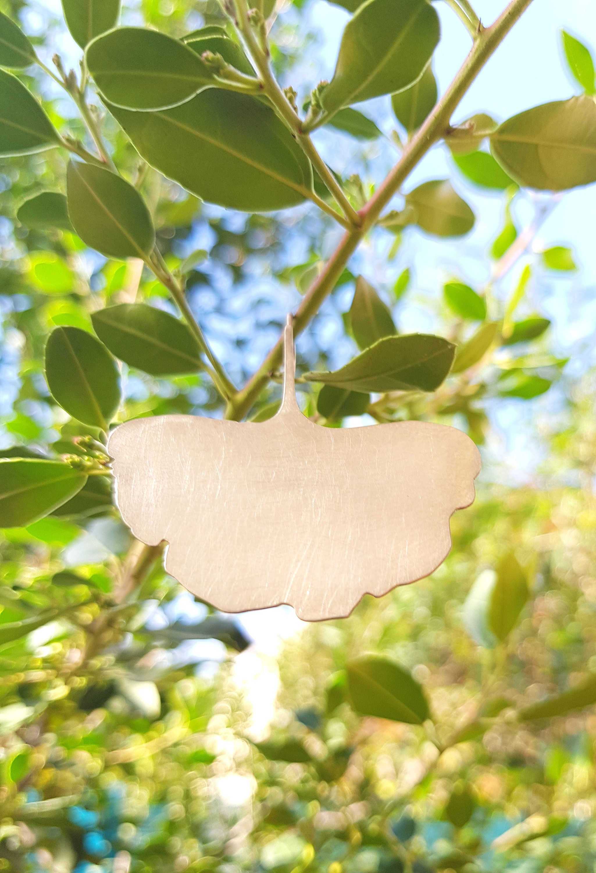 nuomidesign silver ginko earrings