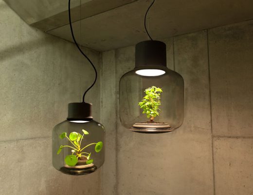 Nui-Studio-Mygdal-Plant-Lamp