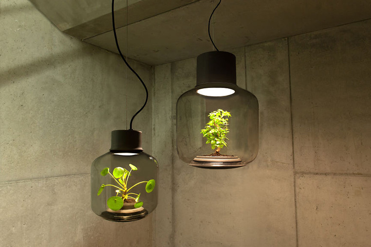 Nui-Studio-Mygdal-Plant-Lamp