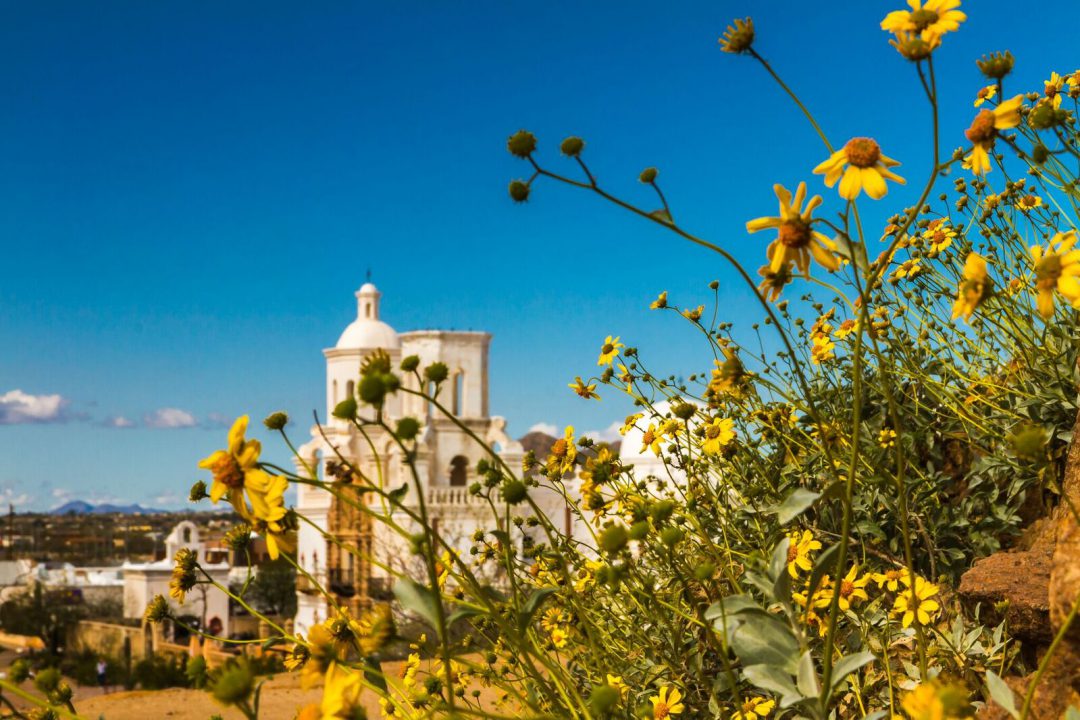 MISSION SAN XAVIER DEL BAC-42