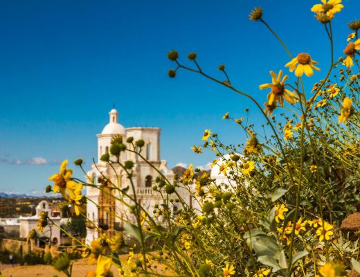 MISSION SAN XAVIER DEL BAC-42